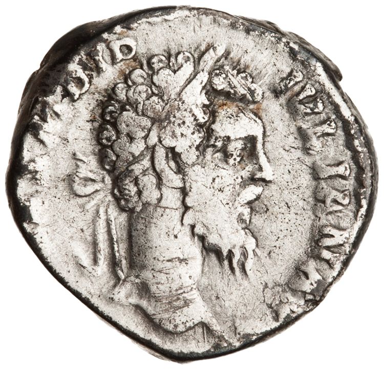 аверс RIC IV Didius Julianus 3a (denarius)