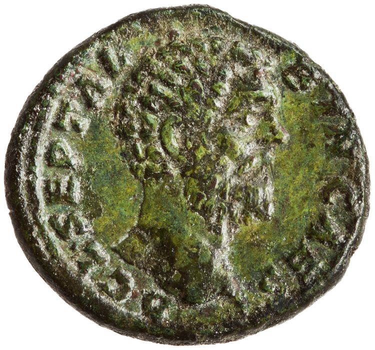 аверс RIC IV Clodius Albinus 61A (as)