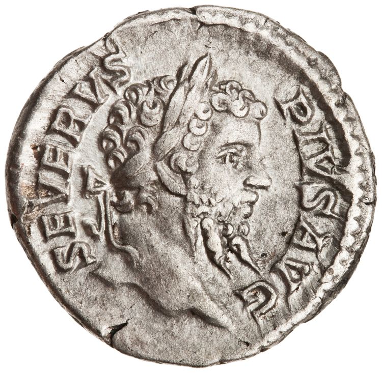 RIC IV Septimius Severus 196 (denarius), аверс, American Numismatic Society (ans)