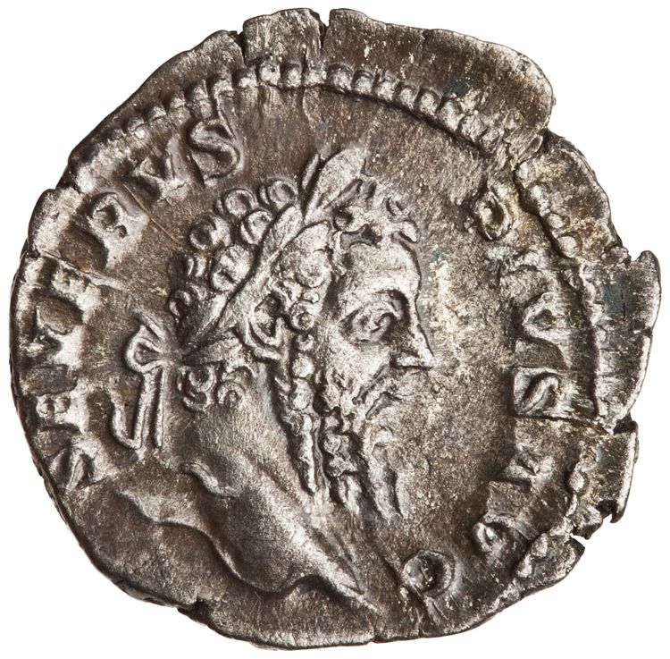 RIC IV Septimius Severus 207, аверс, American Numismatic Society (ans)