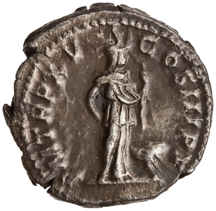 RIC IV Septimius Severus 207, реверс, American Numismatic Society (ans)