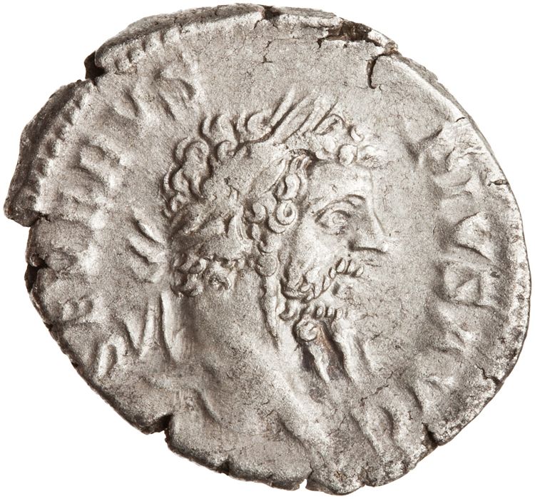 RIC IV Septimius Severus 207, аверс, American Numismatic Society (ans)