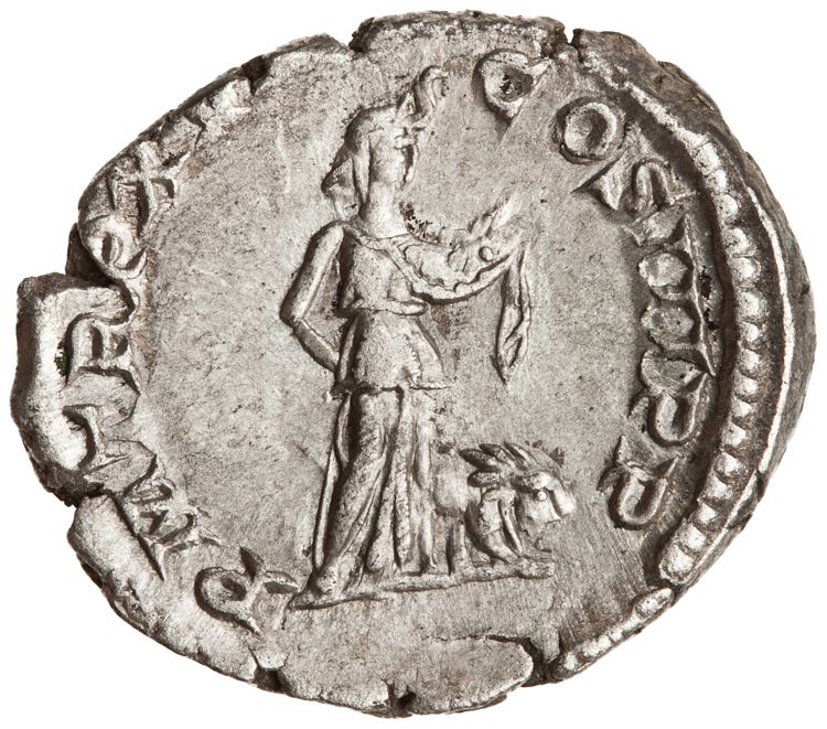 RIC IV Septimius Severus 207, реверс, American Numismatic Society (ans)