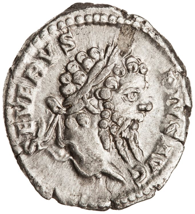 RIC IV Septimius Severus 207, аверс, American Numismatic Society (ans)