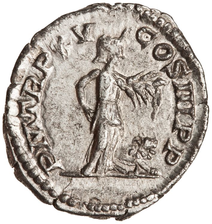 RIC IV Septimius Severus 207, реверс, American Numismatic Society (ans)