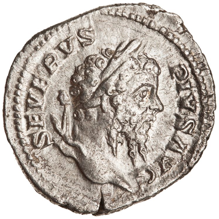RIC IV Septimius Severus 216, аверс, American Numismatic Society (ans)