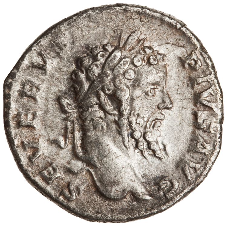 RIC IV Septimius Severus 216, аверс, American Numismatic Society (ans)
