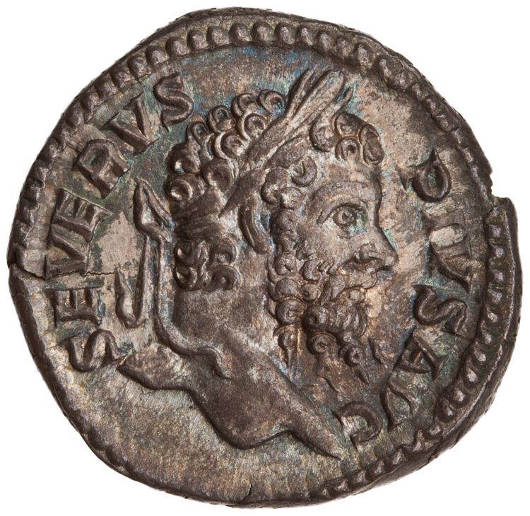 RIC IV Septimius Severus 226, аверс, American Numismatic Society (ans)