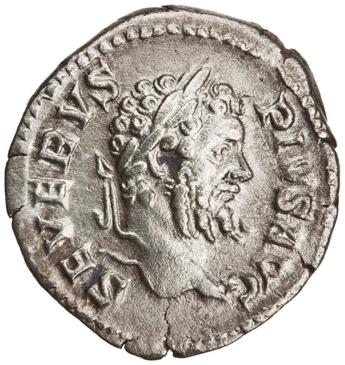 RIC IV Septimius Severus 228, аверс, American Numismatic Society (ans)