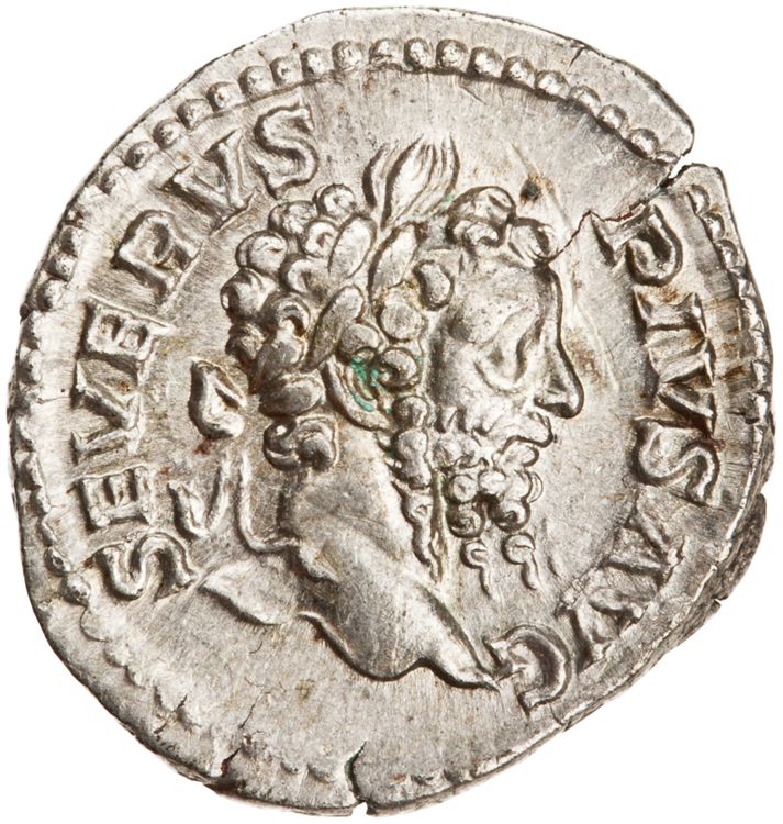 RIC IV Septimius Severus 230, obverse, American Numismatic Society (ans)