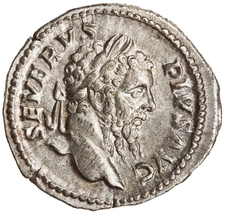 RIC IV Septimius Severus 230, obverse, American Numismatic Society (ans)