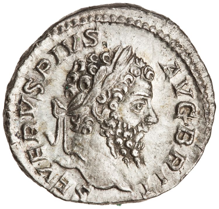 RIC IV Septimius Severus 332, obverse, American Numismatic Society (ans)
