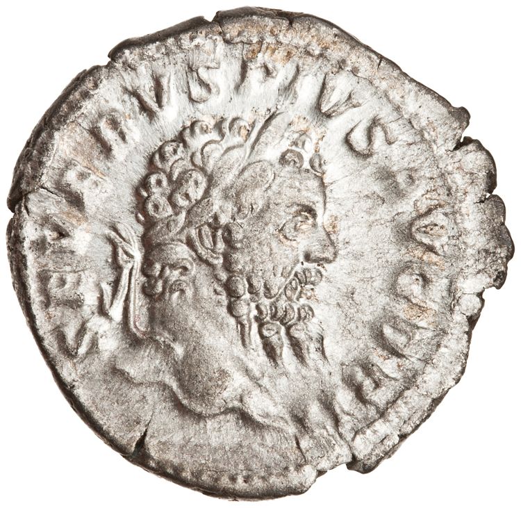 RIC IV Septimius Severus 332, obverse, American Numismatic Society (ans)