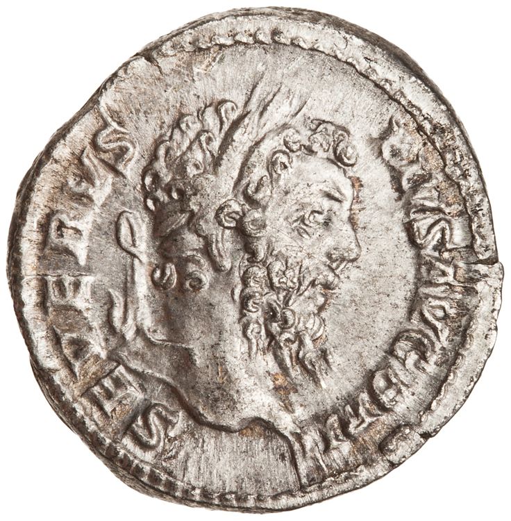 RIC IV Septimius Severus 336, аверс, American Numismatic Society (ans)