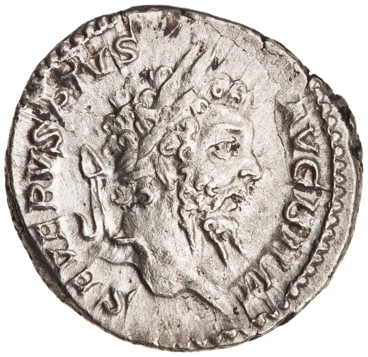 RIC IV Septimius Severus 335, аверс, American Numismatic Society (ans)
