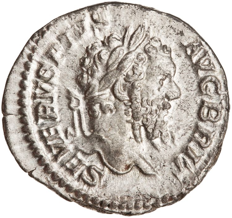 RIC IV Septimius Severus 335, аверс, American Numismatic Society (ans)