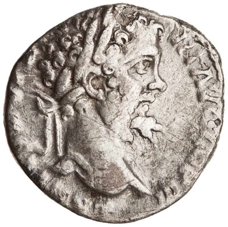 RIC IV Septimius Severus 32, аверс, American Numismatic Society (ans)