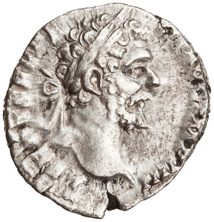 RIC IV Septimius Severus 43, obverse, American Numismatic Society (ans)
