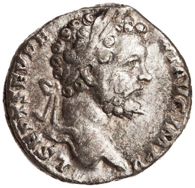 RIC IV Septimius Severus 63, аверс, American Numismatic Society (ans)