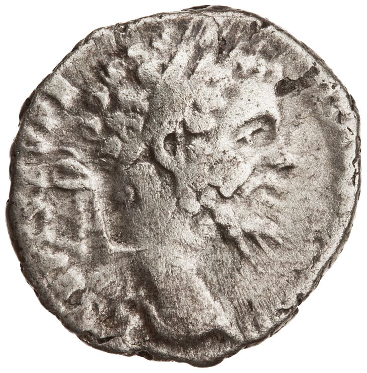 RIC IV Septimius Severus 64 (denarius), аверс, American Numismatic Society (ans)