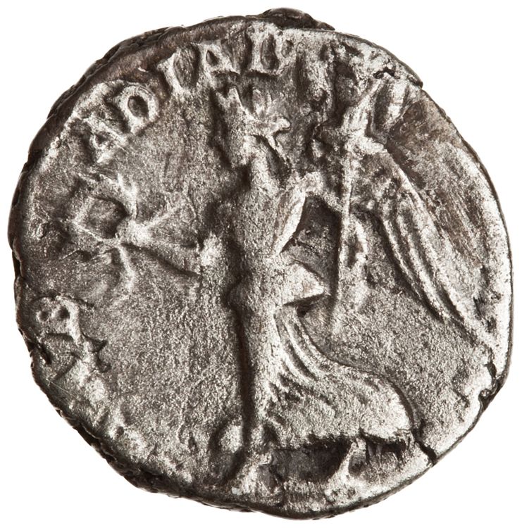 RIC IV Septimius Severus 64 (denarius), реверс, American Numismatic Society (ans)