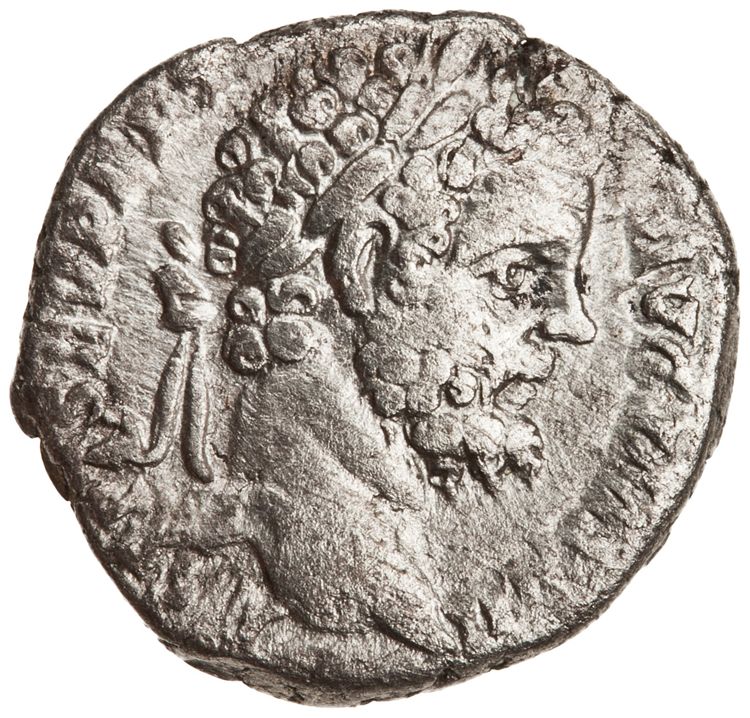 RIC IV Septimius Severus 64 (denarius), аверс, American Numismatic Society (ans)