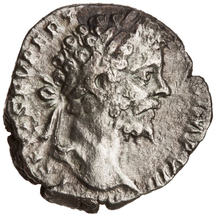 RIC IV Septimius Severus 74, аверс, American Numismatic Society (ans)