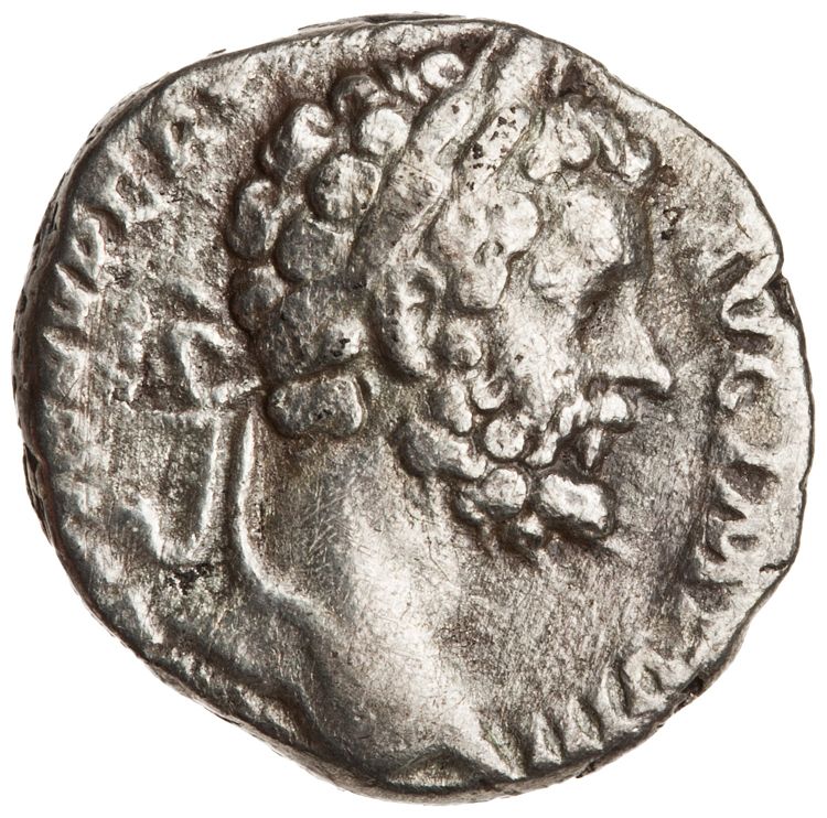 RIC IV Septimius Severus 74, аверс, American Numismatic Society (ans)
