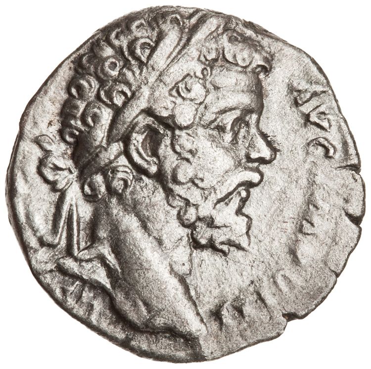 RIC IV Septimius Severus 74, аверс, American Numismatic Society (ans)