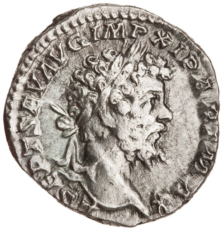 RIC IV Septimius Severus 144B (denarius), аверс, American Numismatic Society (ans)