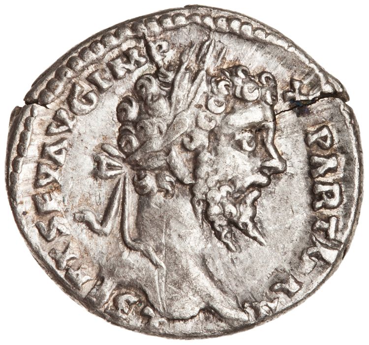 RIC IV Septimius Severus 144B (denarius), аверс, American Numismatic Society (ans)