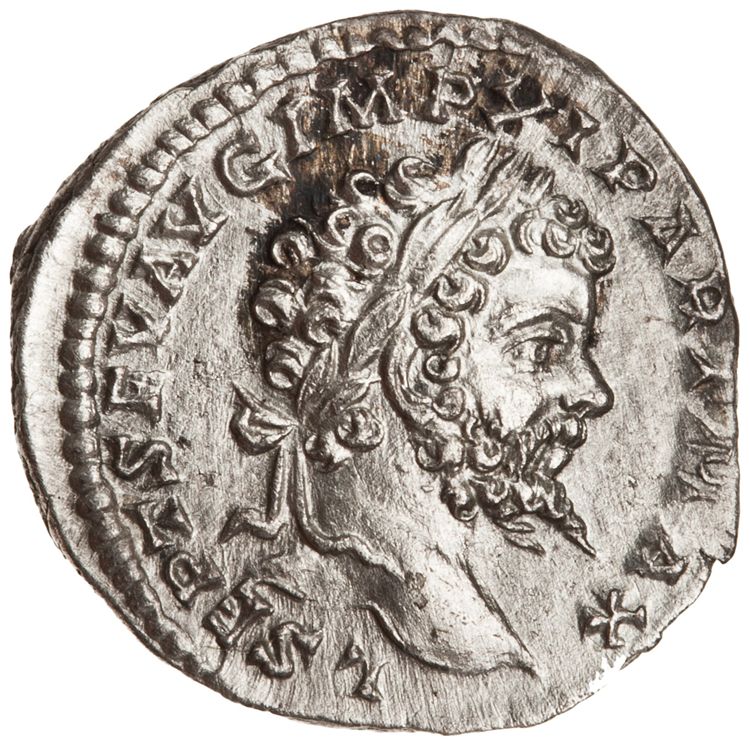 RIC IV Septimius Severus 144B (denarius), аверс, American Numismatic Society (ans)