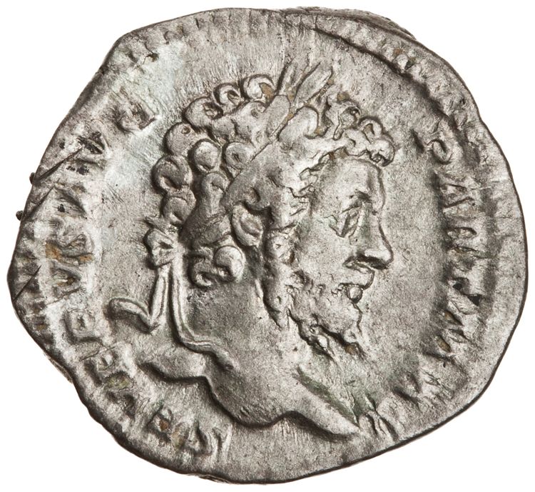 RIC IV Septimius Severus 156, аверс, American Numismatic Society (ans)