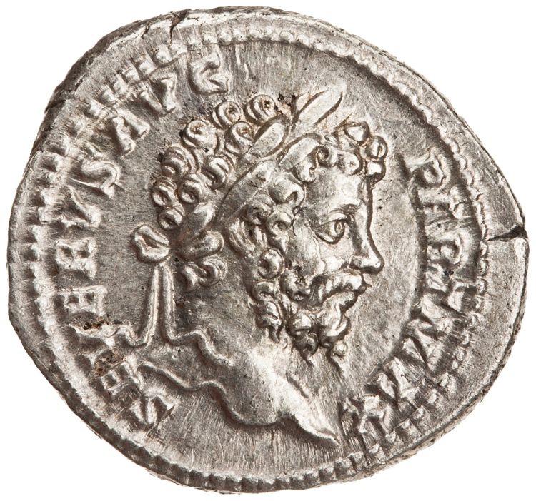 RIC IV Septimius Severus 166, аверс, American Numismatic Society (ans)