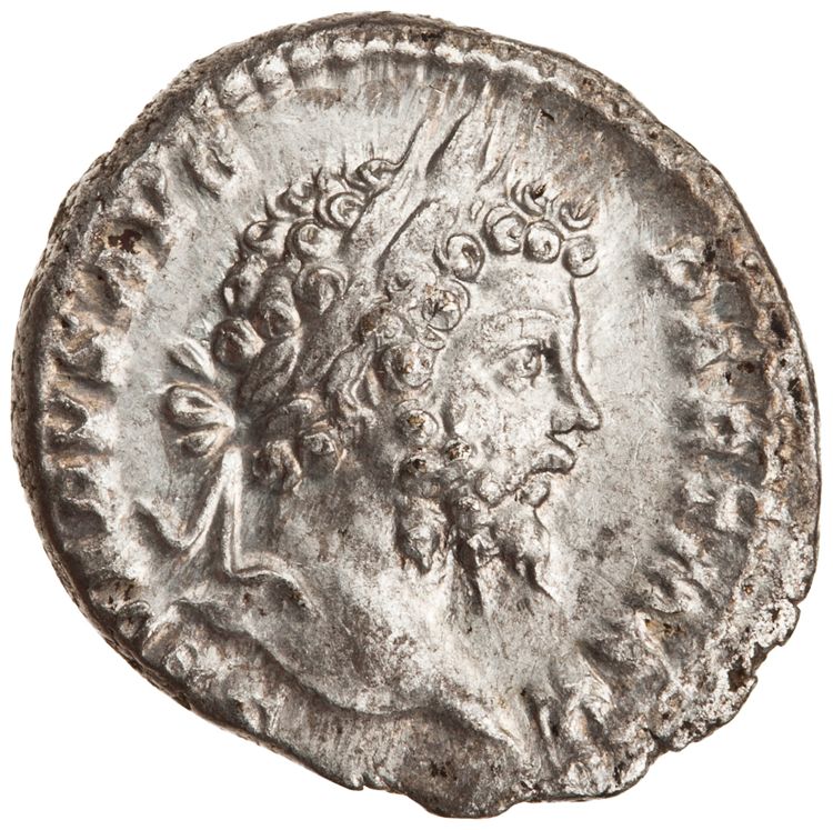 RIC IV Septimius Severus 166, аверс, American Numismatic Society (ans)