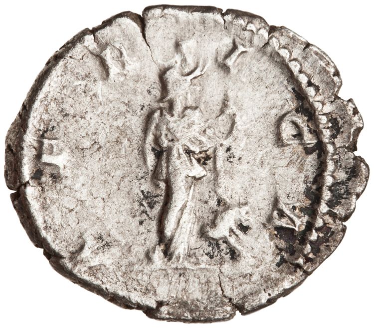 RIC IV Septimius Severus 253, реверс, American Numismatic Society (ans)