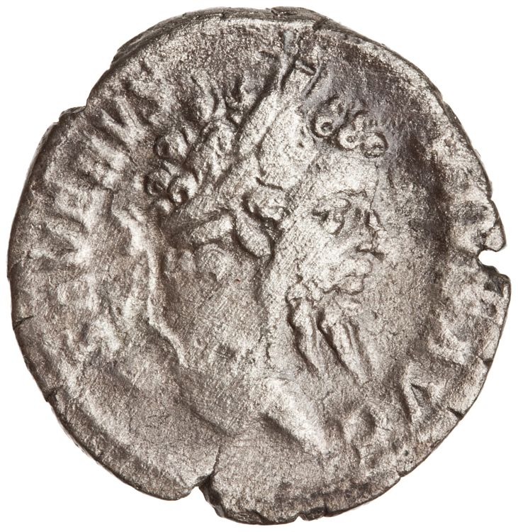 RIC IV Septimius Severus 274 (denarius), аверс, American Numismatic Society (ans)