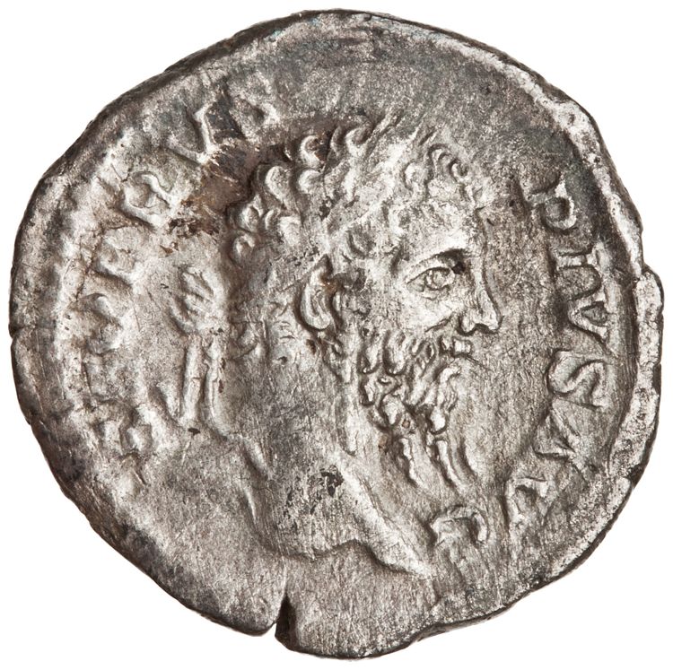 RIC IV Septimius Severus 278A (denarius), аверс, American Numismatic Society (ans)