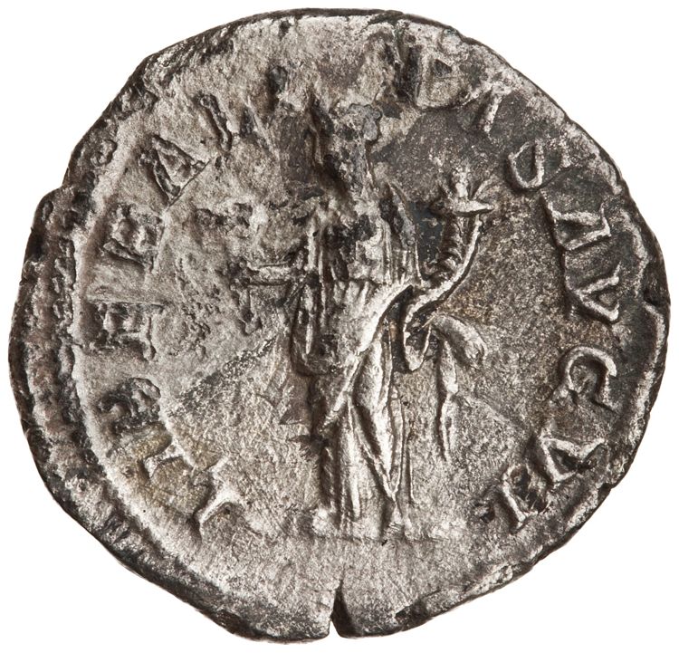 RIC IV Septimius Severus 278A (denarius), реверс, American Numismatic Society (ans)