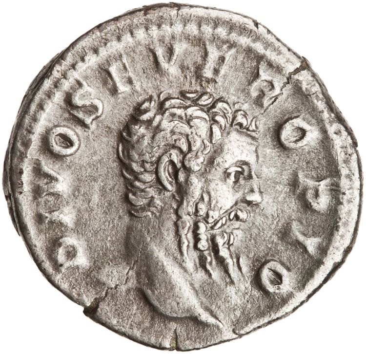 RIC IV Caracalla 191C, аверс, American Numismatic Society (ans)
