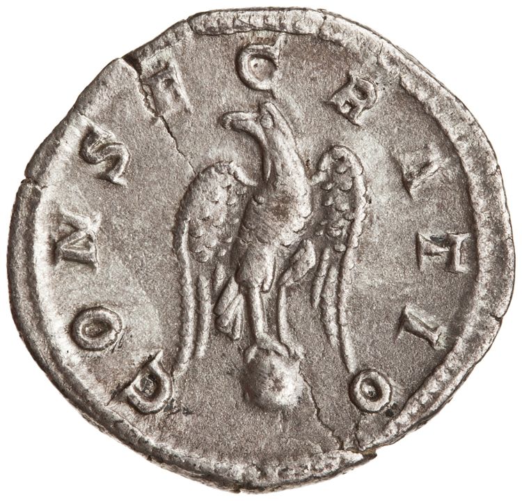 RIC IV Caracalla 191C, реверс, American Numismatic Society (ans)