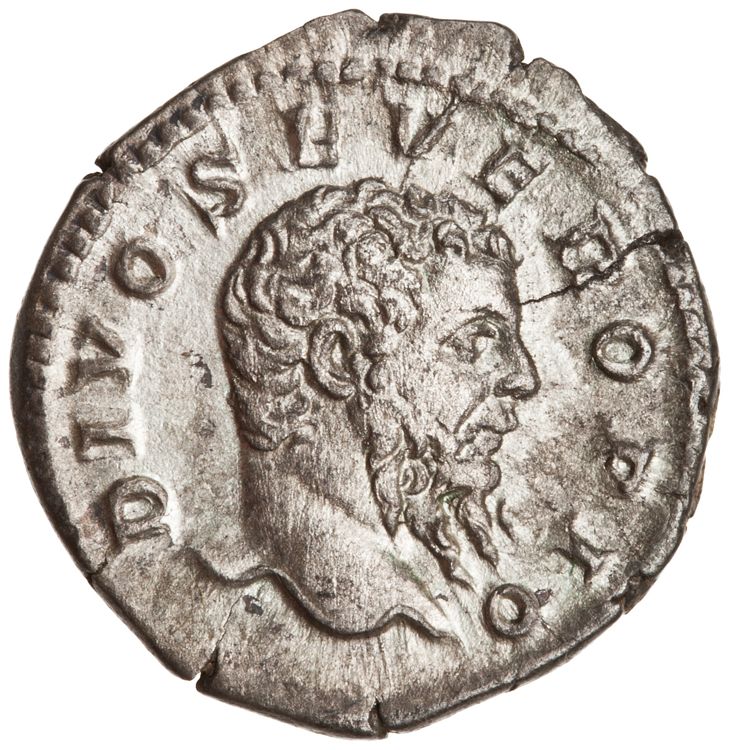 RIC IV Caracalla 191C, аверс, American Numismatic Society (ans)