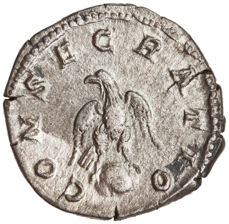RIC IV Caracalla 191C, реверс, American Numismatic Society (ans)