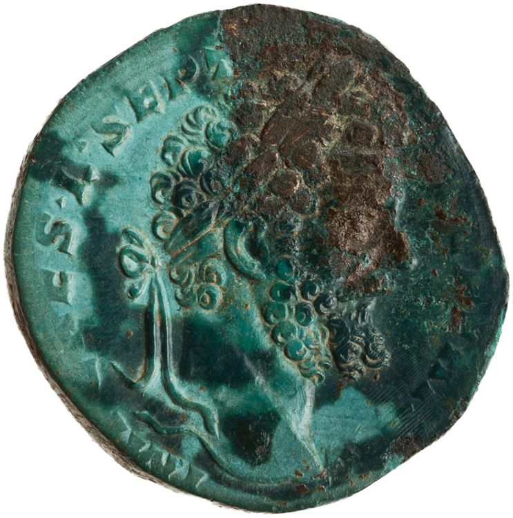 RIC IV Septimius Severus 653, аверс, American Numismatic Society (ans)