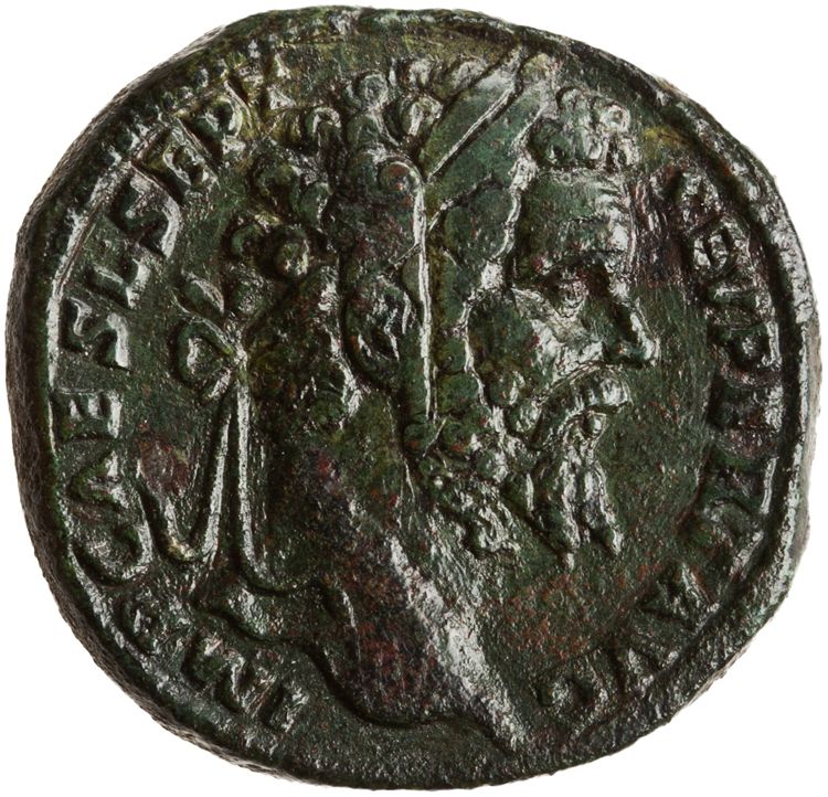 RIC IV Septimius Severus 656, аверс, American Numismatic Society (ans)