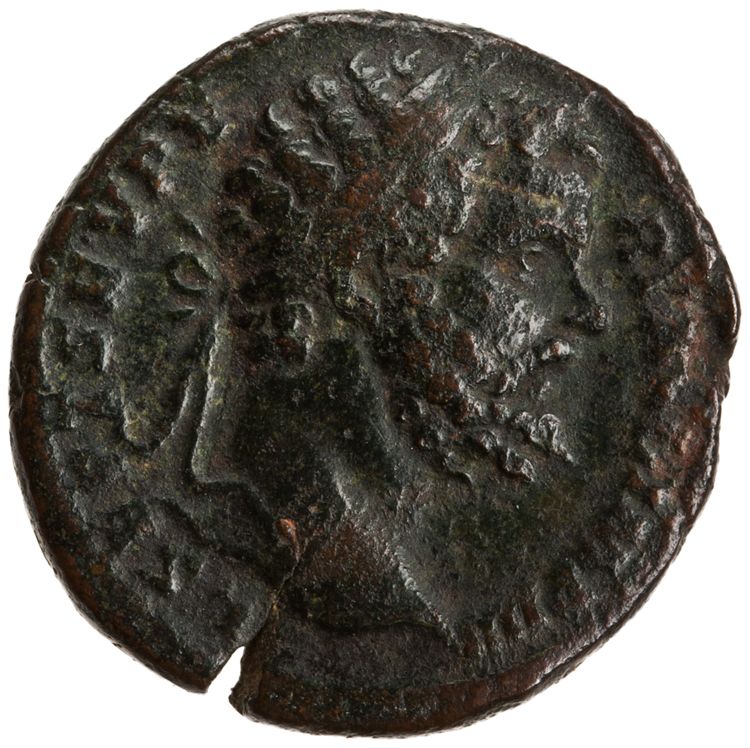 RIC IV Septimius Severus 682, obverse, American Numismatic Society (ans)