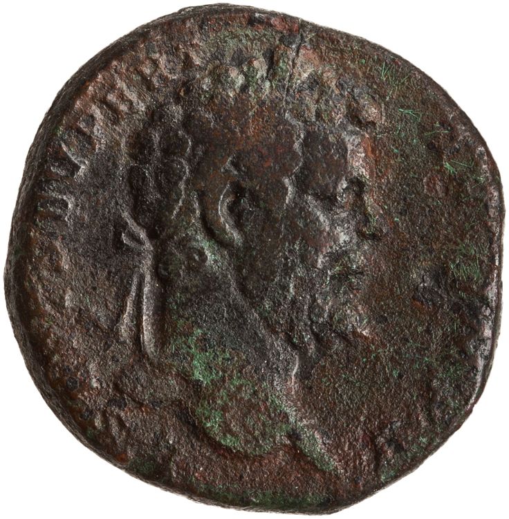 RIC IV Septimius Severus 689, obverse, American Numismatic Society (ans)