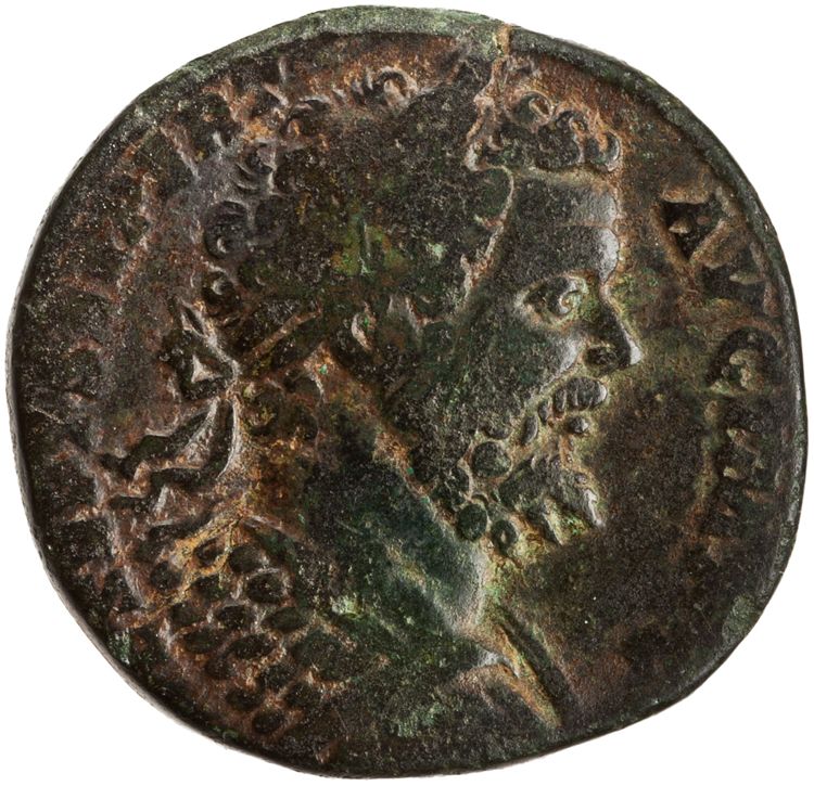 RIC IV Septimius Severus 690B, аверс, American Numismatic Society (ans)