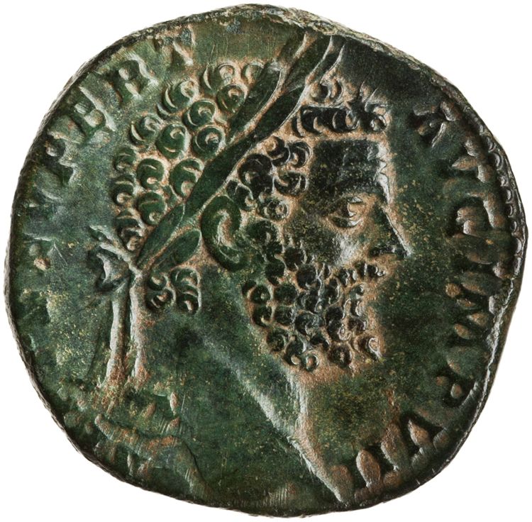 RIC IV Septimius Severus 701a, аверс, American Numismatic Society (ans)