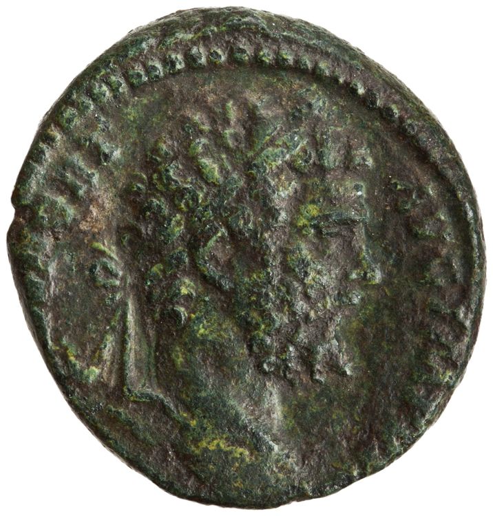 RIC IV Septimius Severus 715, obverse, American Numismatic Society (ans)